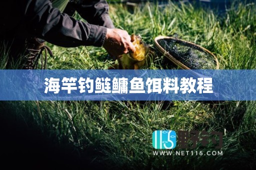 海竿钓鲢鳙鱼饵料教程