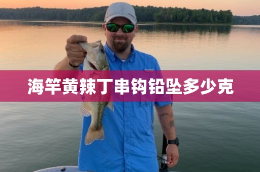 海竿黄辣丁串钩铅坠多少克