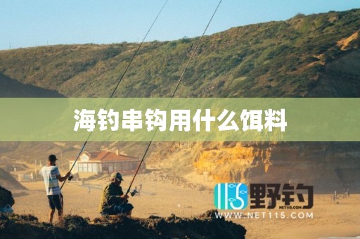 海钓串钩用什么饵料