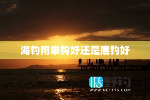 海钓用串钩好还是底钓好