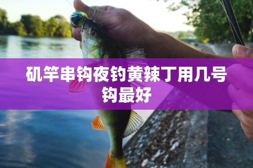 矶竿串钩夜钓黄辣丁用几号钩最好