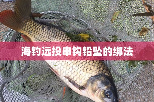海钓远投串钩铅坠的绑法