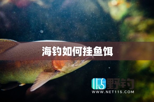 海钓如何挂鱼饵