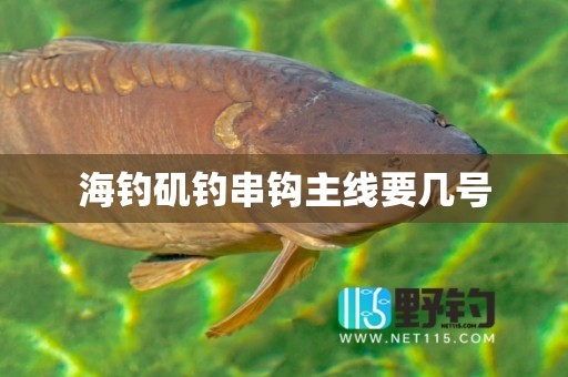 海钓矶钓串钩主线要几号