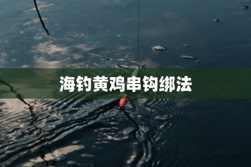 海钓黄鸡串钩绑法
