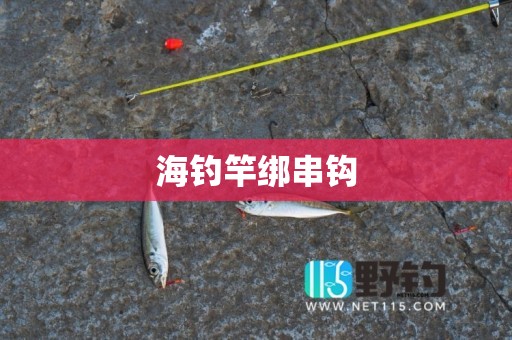海钓竿绑串钩
