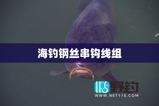 海钓钢丝串钩线组