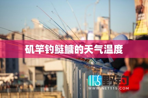 矶竿钓鲢鳙的天气温度