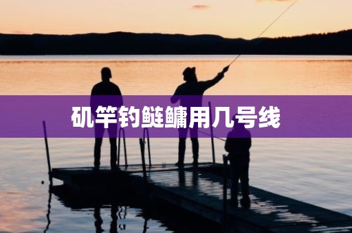 矶竿钓鲢鳙用几号线