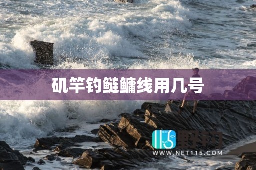 矶竿钓鲢鳙线用几号