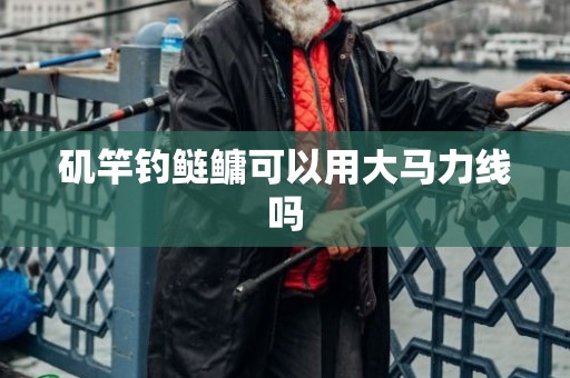 矶竿钓鲢鳙可以用大马力线吗