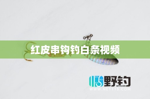 红皮串钩钓白条视频