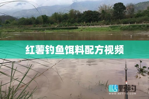 红薯钓鱼饵料配方视频