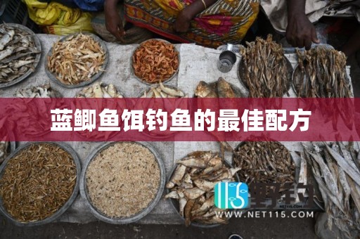 蓝鲫鱼饵钓鱼的最佳配方