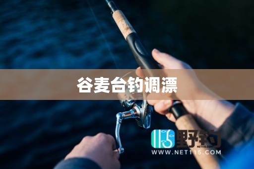 谷麦台钓调漂