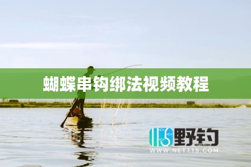 蝴蝶串钩绑法视频教程