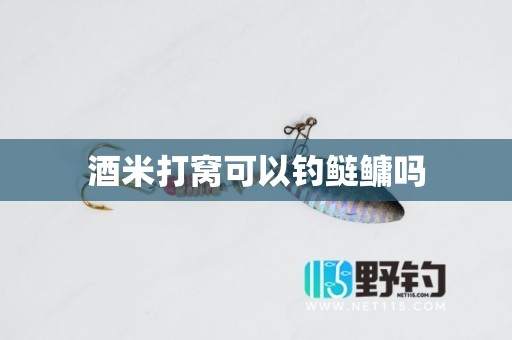 酒米打窝可以钓鲢鳙吗
