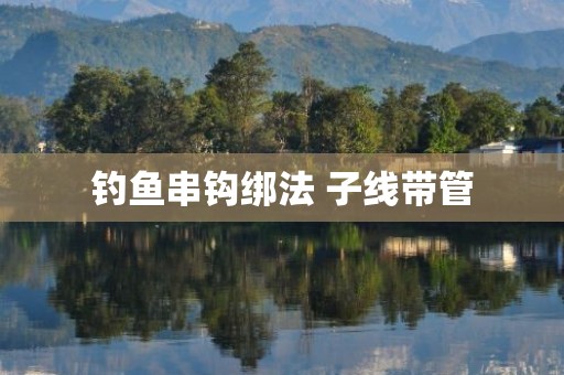 钓鱼串钩绑法 子线带管