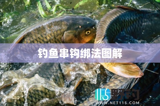 钓鱼串钩绑法图解
