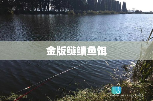 金版鲢鳙鱼饵