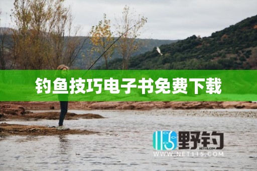 钓鱼技巧电子书免费下载