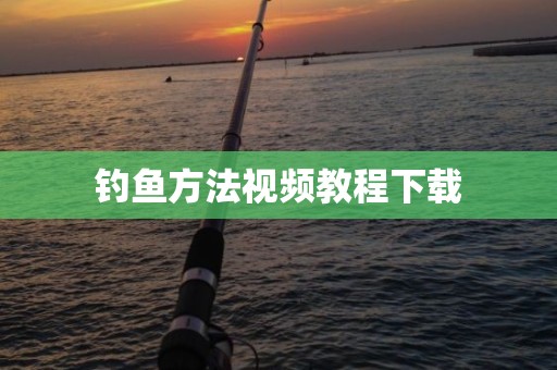 钓鱼方法视频教程下载