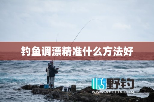钓鱼调漂精准什么方法好