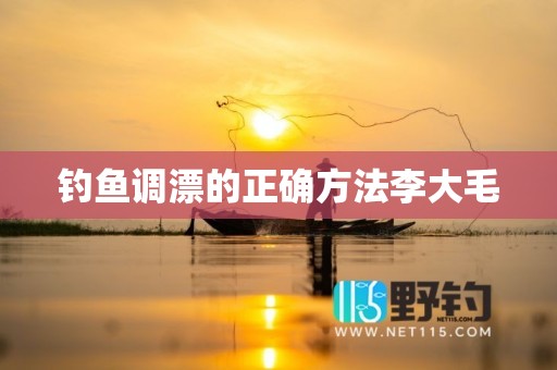 钓鱼调漂的正确方法李大毛
