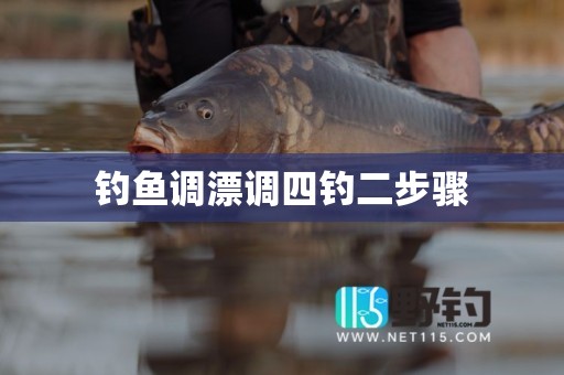 钓鱼调漂调四钓二步骤