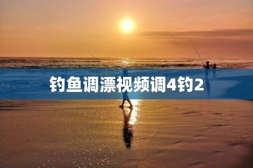 钓鱼调漂视频调4钓2