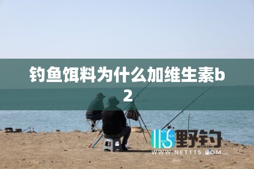 钓鱼饵料为什么加维生素b2