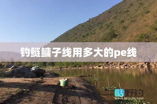 钓鲢鳙子线用多大的pe线