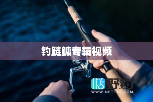 钓鲢鳙专辑视频