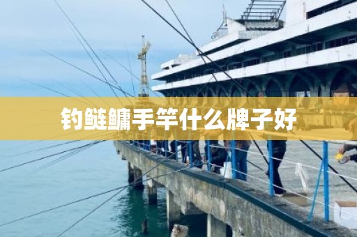 钓鲢鳙手竿什么牌子好