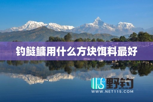 钓鲢鳙用什么方块饵料最好