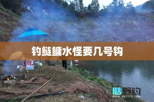 钓鲢鳙水怪要几号钩