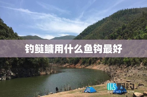 钓鲢鳙用什么鱼钩最好