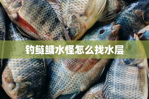 钓鲢鳙水怪怎么找水层