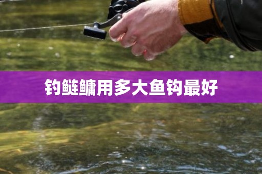 钓鲢鳙用多大鱼钩最好