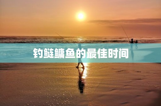 钓鲢鳙鱼的最佳时间