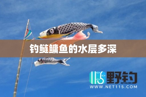 钓鲢鳙鱼的水层多深