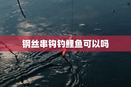 钢丝串钩钓鲤鱼可以吗