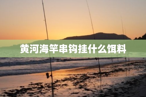 黄河海竿串钩挂什么饵料