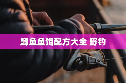 鲫鱼鱼饵配方大全 野钓