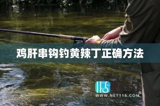 鸡肝串钩钓黄辣丁正确方法