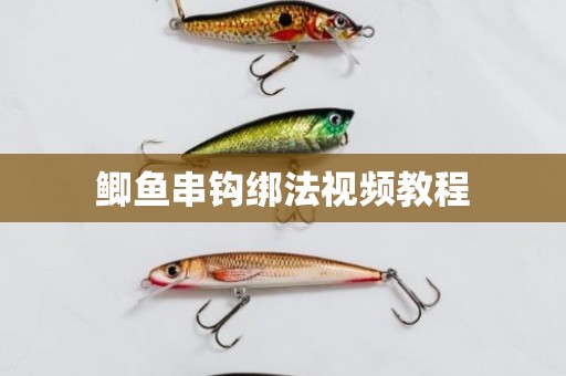 鲫鱼串钩绑法视频教程