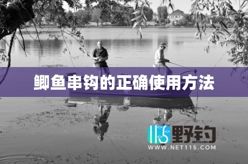 鲫鱼串钩的正确使用方法