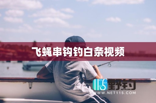 飞蝇串钩钓白条视频