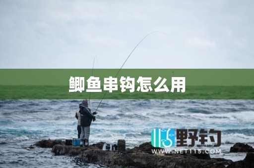鲫鱼串钩怎么用