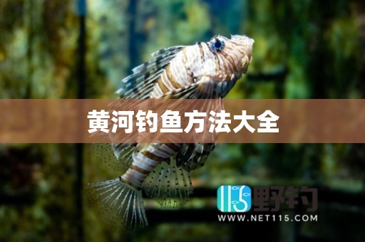 黄河钓鱼方法大全